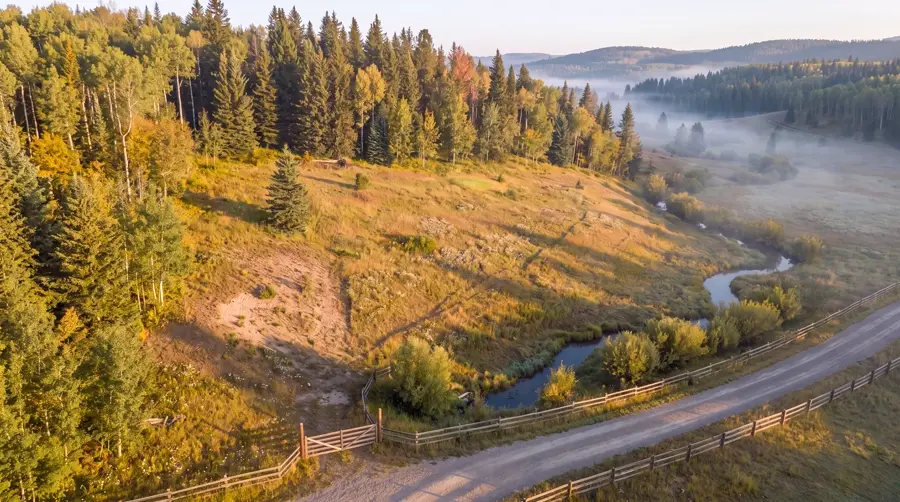 Your five acres in late summer: golden meadow, mixed woods, creek and gravel road.